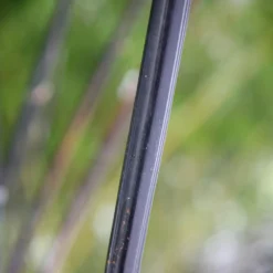 Phyllostachys Nigra 15 Phyllostachys Nigra -Deals Green4Ever Store pl0000001601 card6 lg