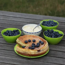 Blueberry 'Bluecrop' -Deals Green4Ever Store pl0000001890 card8 lg scaled