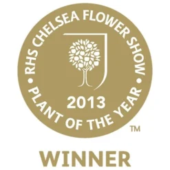 Mahonia Eurybracteata Subsp. Ganpinensis 'Soft Caress' (PBR) -Deals Green4Ever Store pl2000020849 card3 lg