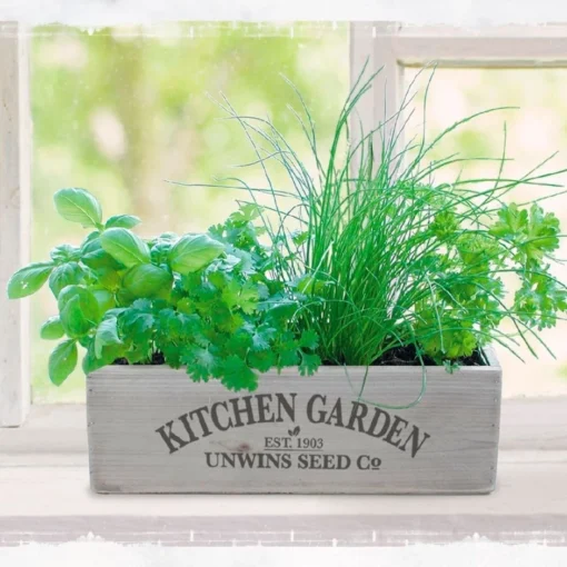 Kitchen Herb Garden Kit -Deals Green4Ever Store pl2000023930