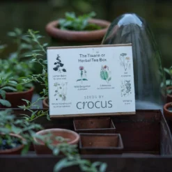 Herbal Teas Seed Gift Box -Deals Green4Ever Store pl2000024986 card3 lg