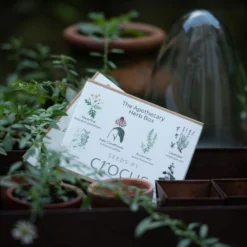 Apothecary Herbs Seed Gift Box -Deals Green4Ever Store pl2000024987 card3 lg