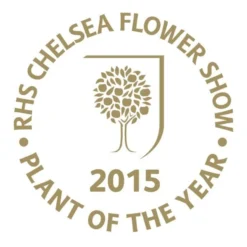 Viburnum Plicatum F. Tomentosum Kilimanjaro Sunrise ('Jww5') (PBR) -Deals Green4Ever Store pl2000027309 card3 lg