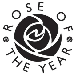 Rosa Scent From Heaven ('Chewbabaluv') (PBR) -Deals Green4Ever Store pl2000028209 card2 lg