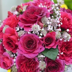 Rosa Timeless Purple ('Noa38121') (PBR) -Deals Green4Ever Store pl2000036975 card3 lg scaled