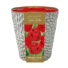 Indoor Tulip Ceramic Planter Gift Set