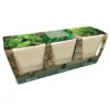 Ceramic Windowsill Herb Gift Set