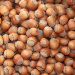 Cobnut 'Purple Filbert' -Deals Green4Ever Store pl2000047695 card2 lg