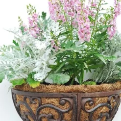 Cast Iron Wall Manger -Deals Green4Ever Store pr2000004969 card3 lg