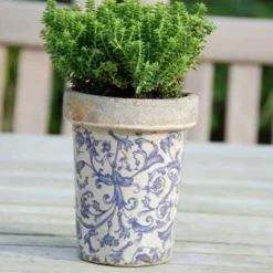 Aged Ceramic Long Tom Pot -Deals Green4Ever Store pr2000008818 card4 lg