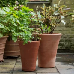 Empoli Terracotta Lily Pot -Deals Green4Ever Store pr2000012808 card5 lg