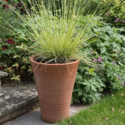 Empoli Terracotta Lily Pot -Deals Green4Ever Store pr2000012808 card7 lg