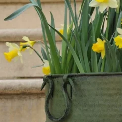 Verdigris Tall Metal Planter -Deals Green4Ever Store pr2000016192 card4 lg