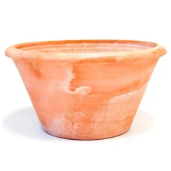 Terracotta Arc Pot -Deals Green4Ever Store pr2000016942 card10 lg