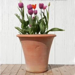 Terracotta Arc Pot -Deals Green4Ever Store pr2000016942 card8 lg