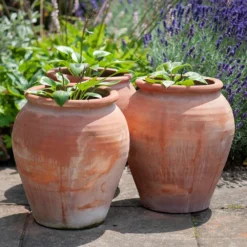 Terracotta Tulip Pot -Deals Green4Ever Store pr2000017349 card10 lg