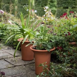 Terracotta Flared Rim Pot 13 Terracotta Flared Rim Pot -Deals Green4Ever Store pr2000017350 card5 lg