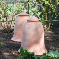 Terracotta Rhubarb Forcer -Deals Green4Ever Store pr2000017359 card5 lg