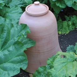Terracotta Rhubarb Forcer -Deals Green4Ever Store pr2000017359 card6 lg
