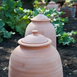 Terracotta Rhubarb Forcer -Deals Green4Ever Store pr2000017359 card8 lg