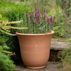 Terracotta Perennial Bell Pot -Deals Green4Ever Store pr2000017362 card3 lg