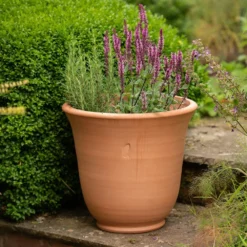 Terracotta Perennial Bell Pot -Deals Green4Ever Store pr2000017362 card5 lg