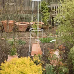 Clematis Root Protector -Deals Green4Ever Store pr2000020697 card4 lg