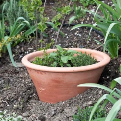 Terracotta Rimmed Grow Pot -Deals Green4Ever Store pr2000022763 card3 lg