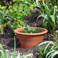 Terracotta Rimmed Grow Pot -Deals Green4Ever Store pr2000022763 card5 lg