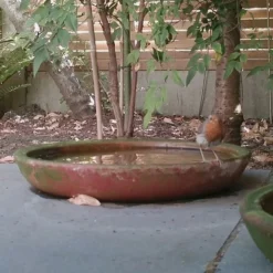 Terracotta Saucer -Deals Green4Ever Store pr2000022770 card3 lg