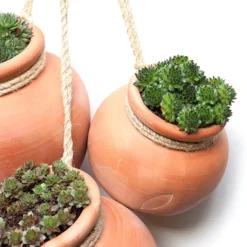 Terracotta Babylon Hanging Pot -Deals Green4Ever Store pr2000023695 card5 lg