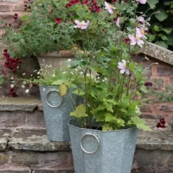 Faceted Galvanised Planter -Deals Green4Ever Store pr2000027856 card6 lg