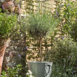 Faceted Galvanised Planter -Deals Green4Ever Store pr2000027856 card7 lg