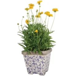Aged Ceramic Flower Pots - Set Of 3 -Deals Green4Ever Store pr2000028008 card3 lg