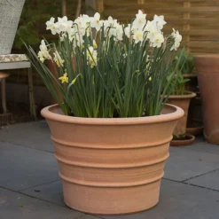 Monachou Fardipati Terracotta Pot -Deals Green4Ever Store pr2000028348 card7 lg