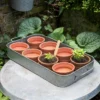 Terracotta Grow Pots - Set Of 8 With Tray