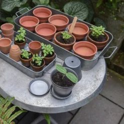 Terracotta Grow Pots - Set Of 8 With Tray -Deals Green4Ever Store pr2000028372 card8 lg