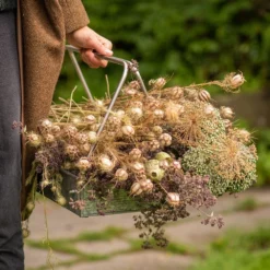 Planting Tray / Trug -Deals Green4Ever Store pr2000028415 card7 lg