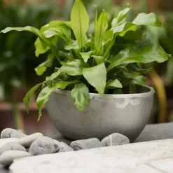 Rough Cast Aluminium Bowl -Deals Green4Ever Store pr2000028424 card10 lg