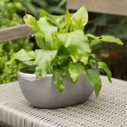 Rough Cast Aluminium Bowl -Deals Green4Ever Store pr2000028424 card7 lg