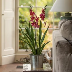 Hand Etched Aluminium Planter -Deals Green4Ever Store pr2000028556 card5 lg