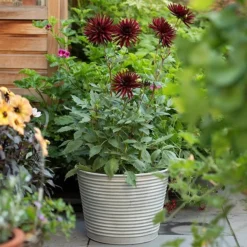 Ribbed Zinc Planter -Deals Green4Ever Store pr2000028781 card2 lg