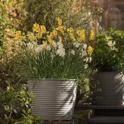 Ribbed Zinc Planter -Deals Green4Ever Store pr2000028781 card3 lg