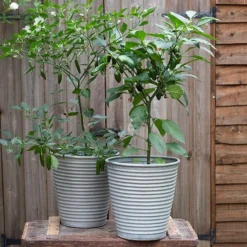 Ribbed Zinc Planter -Deals Green4Ever Store pr2000028781 card9 lg