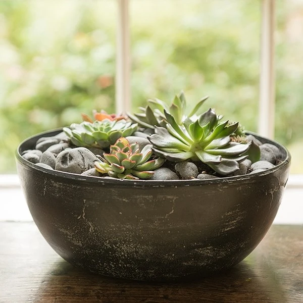 Rough Cast Aluminium Bowl - Charcoal Black 2 Rough Cast Aluminium Bowl - Charcoal Black - Image 2