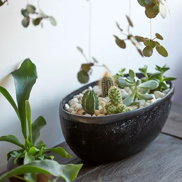 Rough Cast Aluminium Bowl - Charcoal Black 3 Rough Cast Aluminium Bowl - Charcoal Black - Image 3