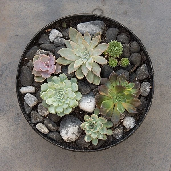 Rough Cast Aluminium Bowl - Charcoal Black 6 Rough Cast Aluminium Bowl - Charcoal Black - Image 6