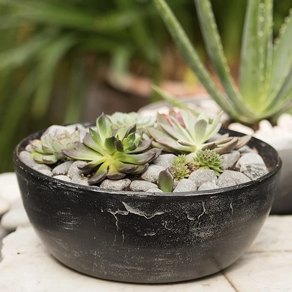 Rough Cast Aluminium Bowl - Charcoal Black 8 Rough Cast Aluminium Bowl - Charcoal Black - Image 8