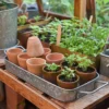 Terracotta Grow Pots - Set Of 10 With Tray