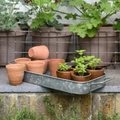 Terracotta Grow Pots - Set Of 10 With Tray -Deals Green4Ever Store pr2000029288 card5 lg